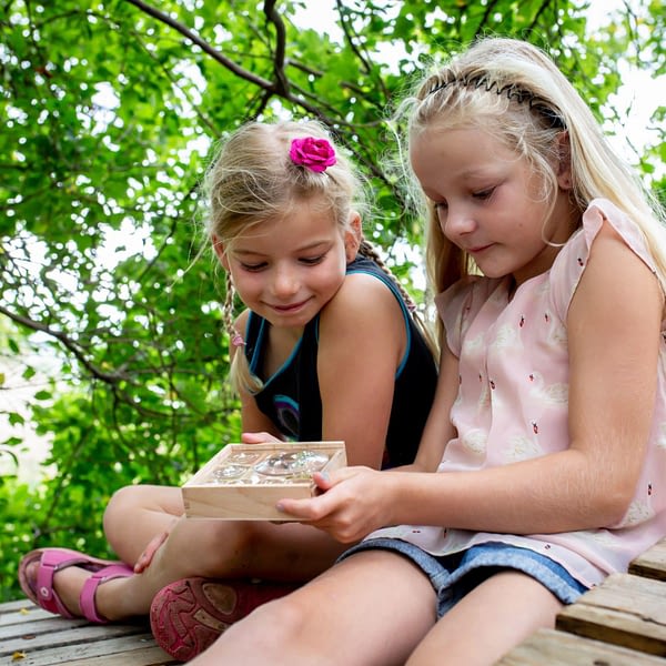 käferbox aus Holz und Acryl - outdoor mit kindern
