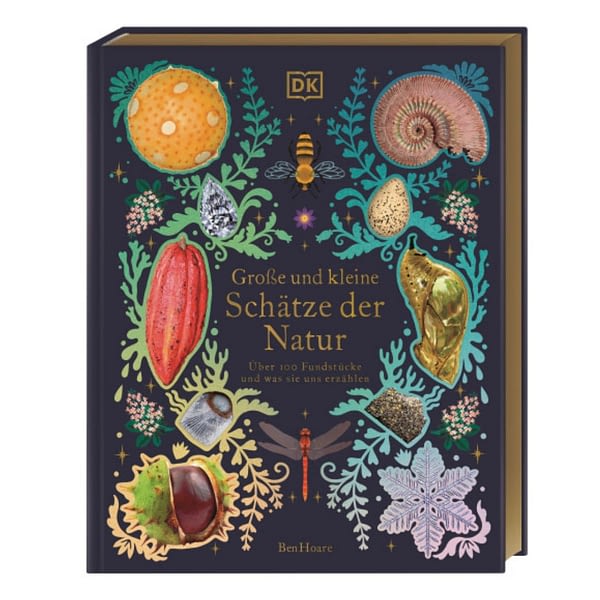 Naturbuch für Kinder - Kindersachbuch - Sachbuch für Kinder - NATUR - Große und kleine Schätze der Natur DK Verlag 97383831044009