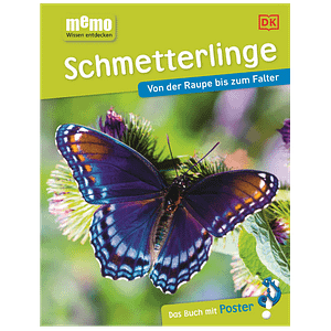 Schmetterling - mit Kindern die Insekten entdecken. Sachbuch für Kinder. Verwandlung eines Schmetterlings. Lebenszyklus