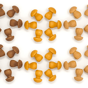 grapat holzspielzeug mandalas braune pilze loose parts - ideal fürs freie spielen, kaufladen, bilder legen