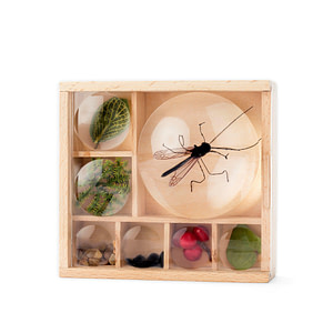käferbox aus Holz und Acryl - outdoor mit kindern